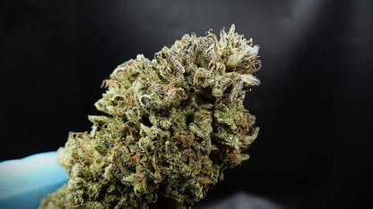 Bubba kush - indoor